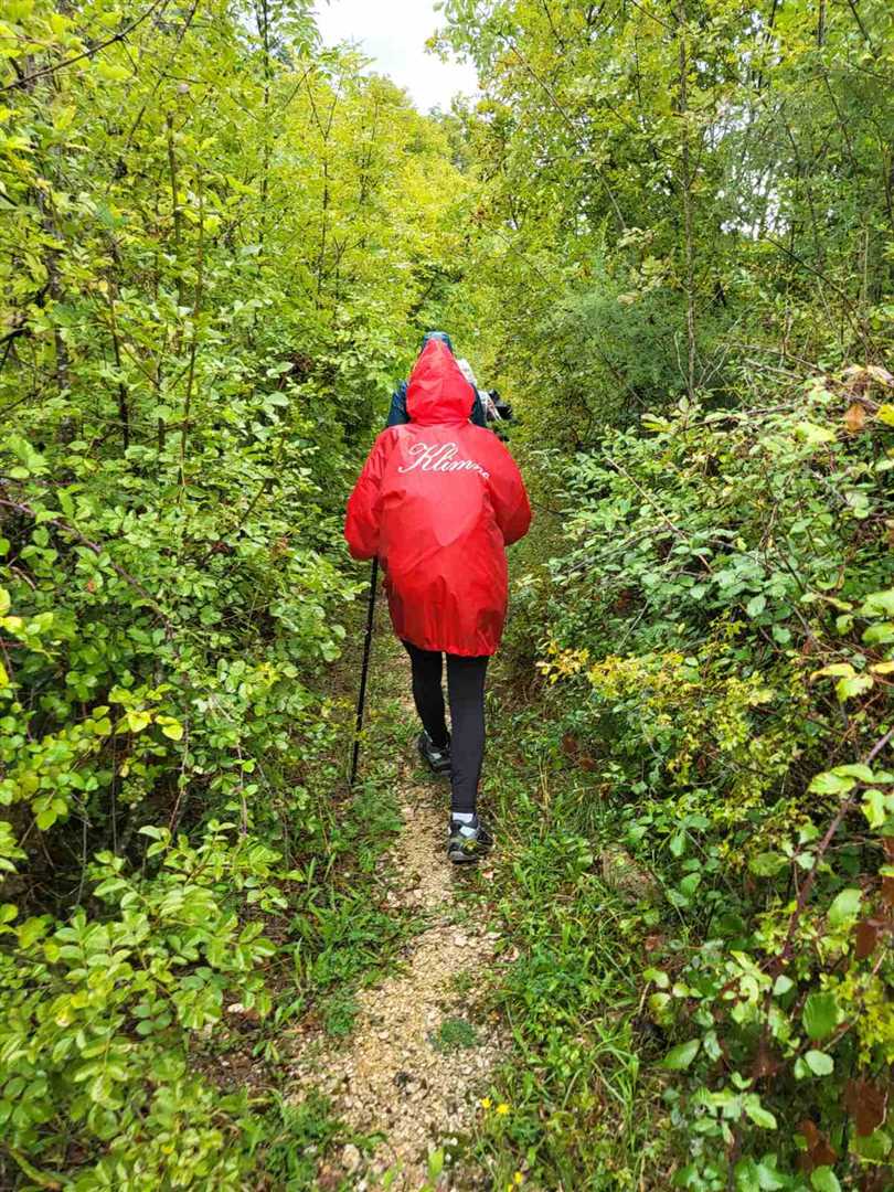 Vođena šetnja po Dobrinjštini za Prvi maj