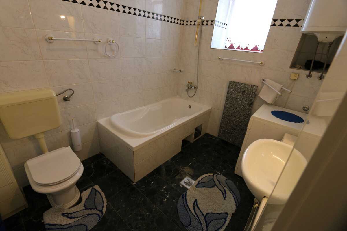 Apartment Ljuština (10025-A1)