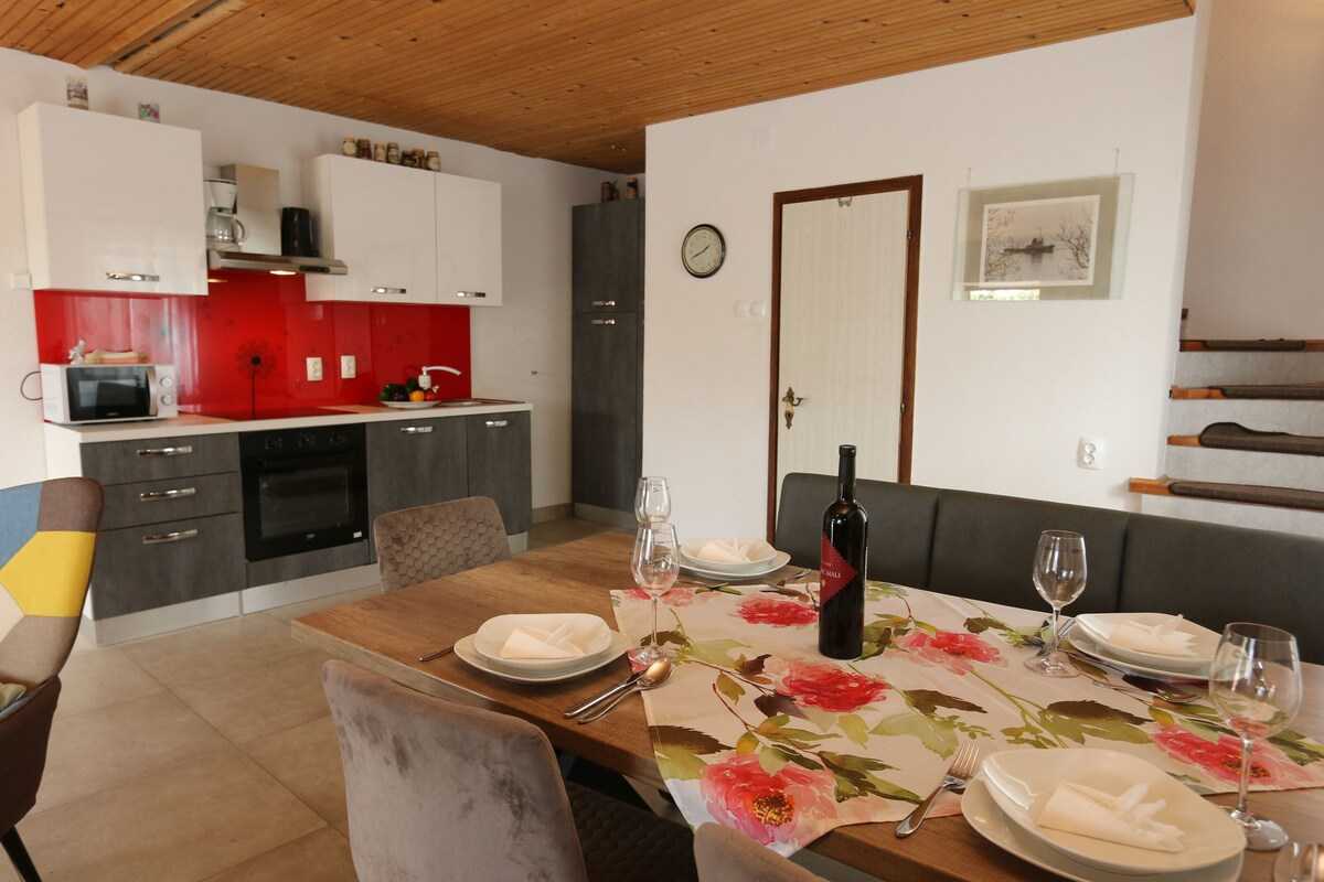 House Zbasnik (10016-K1)