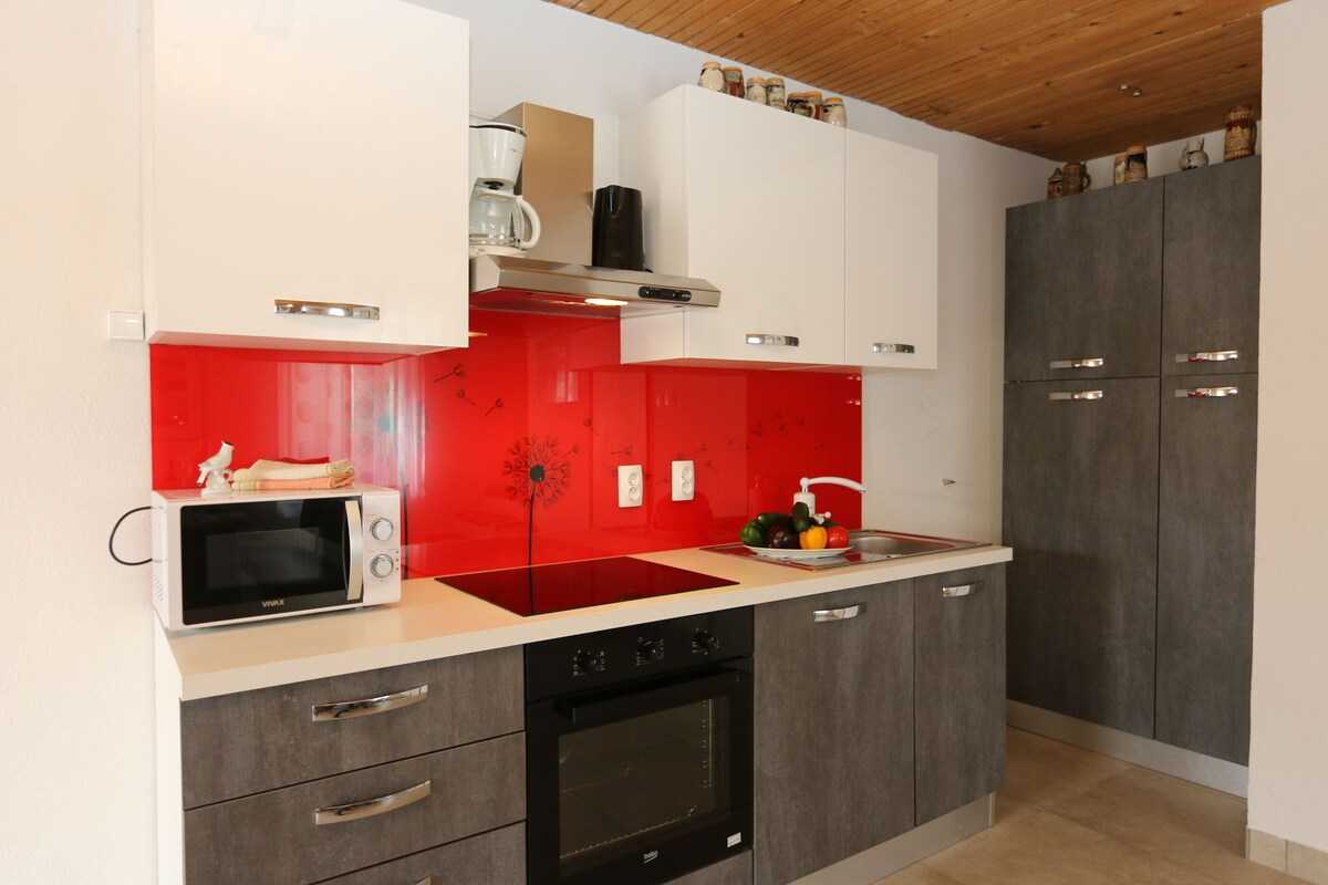 House Zbasnik (10016-K1)