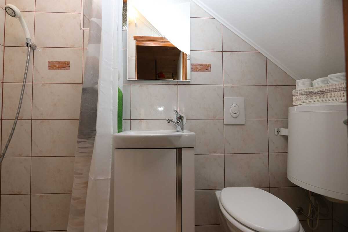 House Zbasnik (10016-K1)