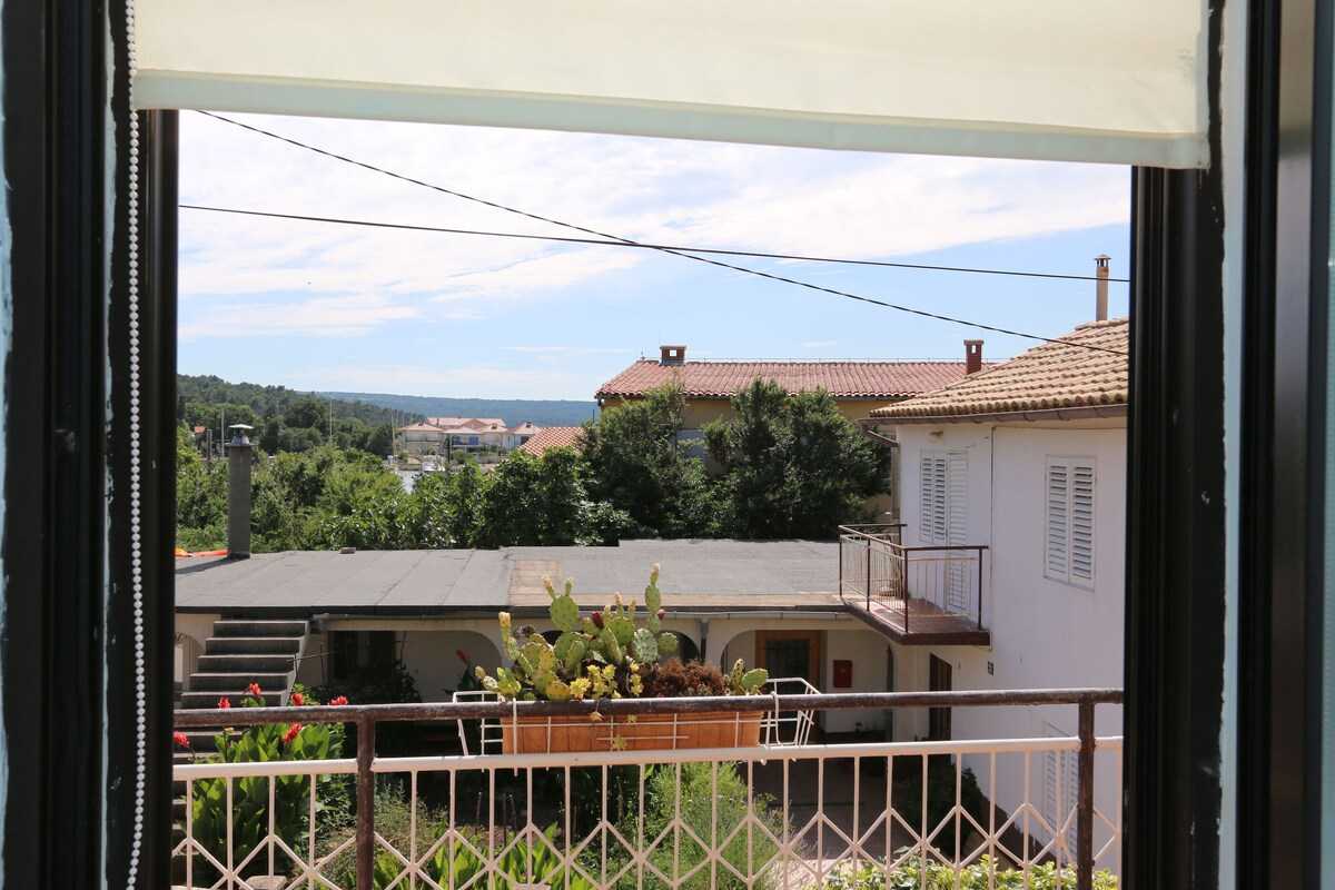 House Zbasnik (10016-K1)