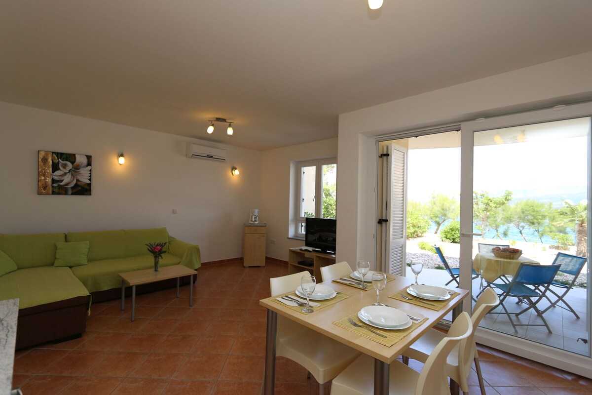 Apartment Djakovic (10034-A2)