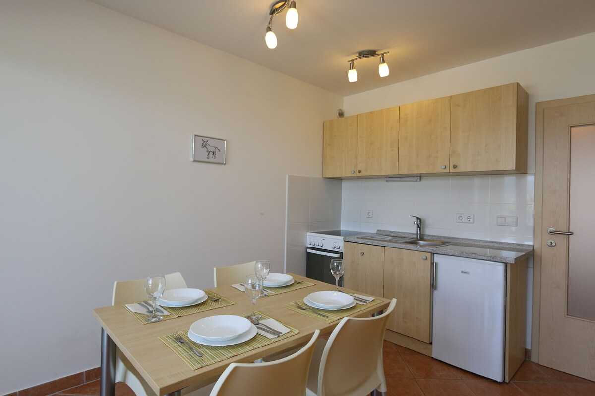 Apartment Djakovic (10034-A2)