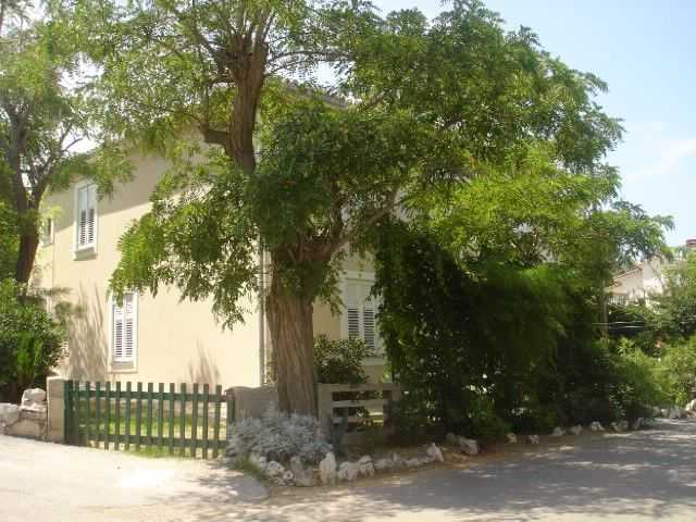 Apartment Car Zorica (60261-A1)