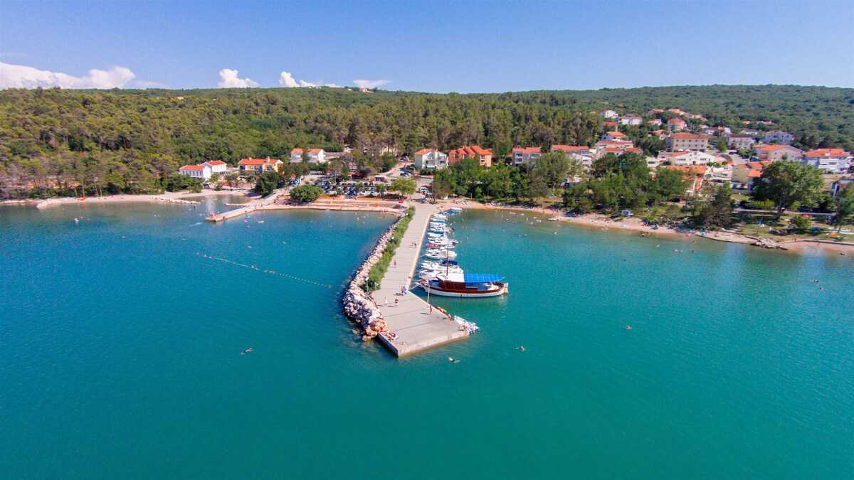 Apartment Sucic Iva i Tea (86111-A1)
