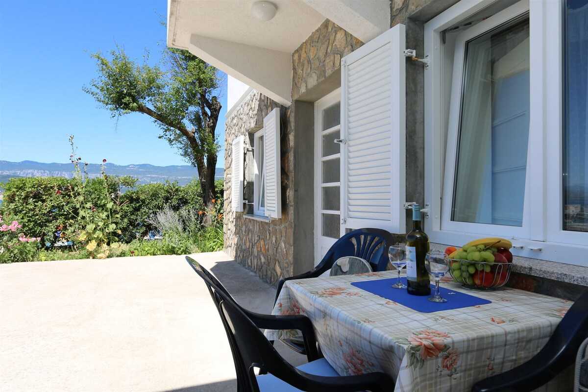 Apartment Jelenovic Ivana (10078-A1)
