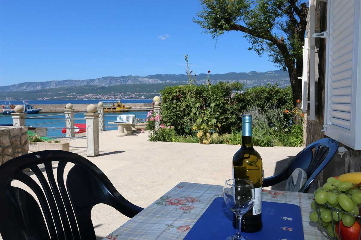 Apartment Jelenovic Ivana (10078-A1)