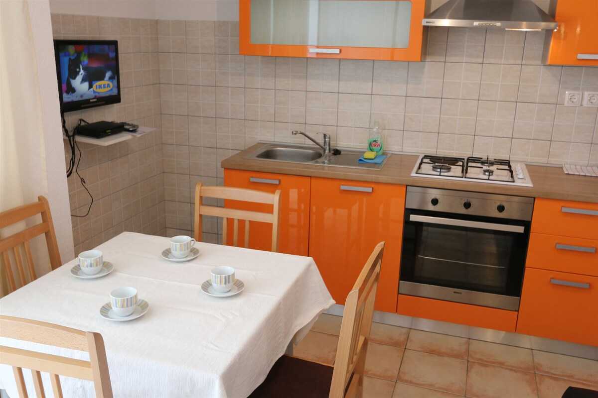 Apartment Hodžić (10014-A1)