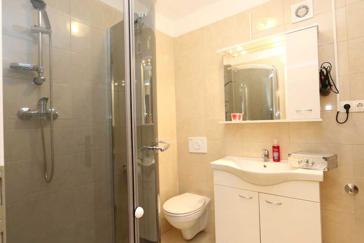Apartment Mrakovcic Mirjana (10009-A1)