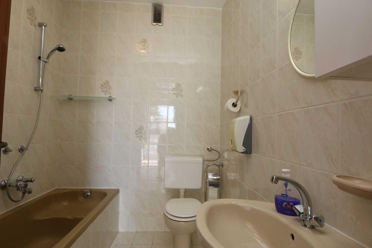Apartment Lidija (60243-A2)