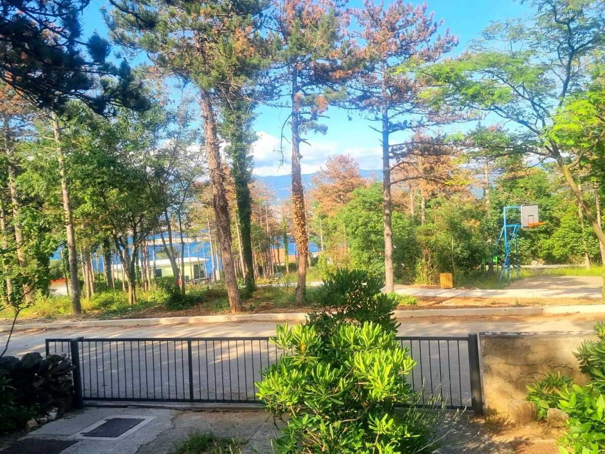 Apartment Park (93978-A1)