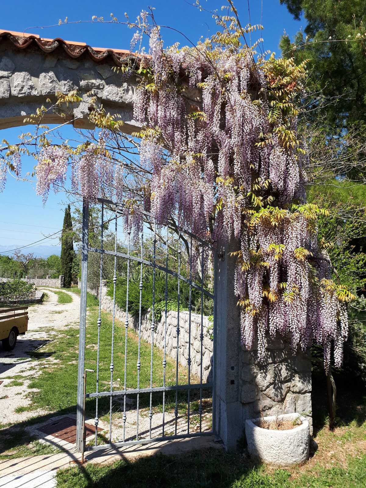 Kuća Green Oasis A4+2 (10057-K1)