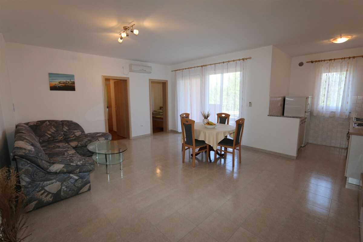 Apartment Dudovic Darko (10035-A1)