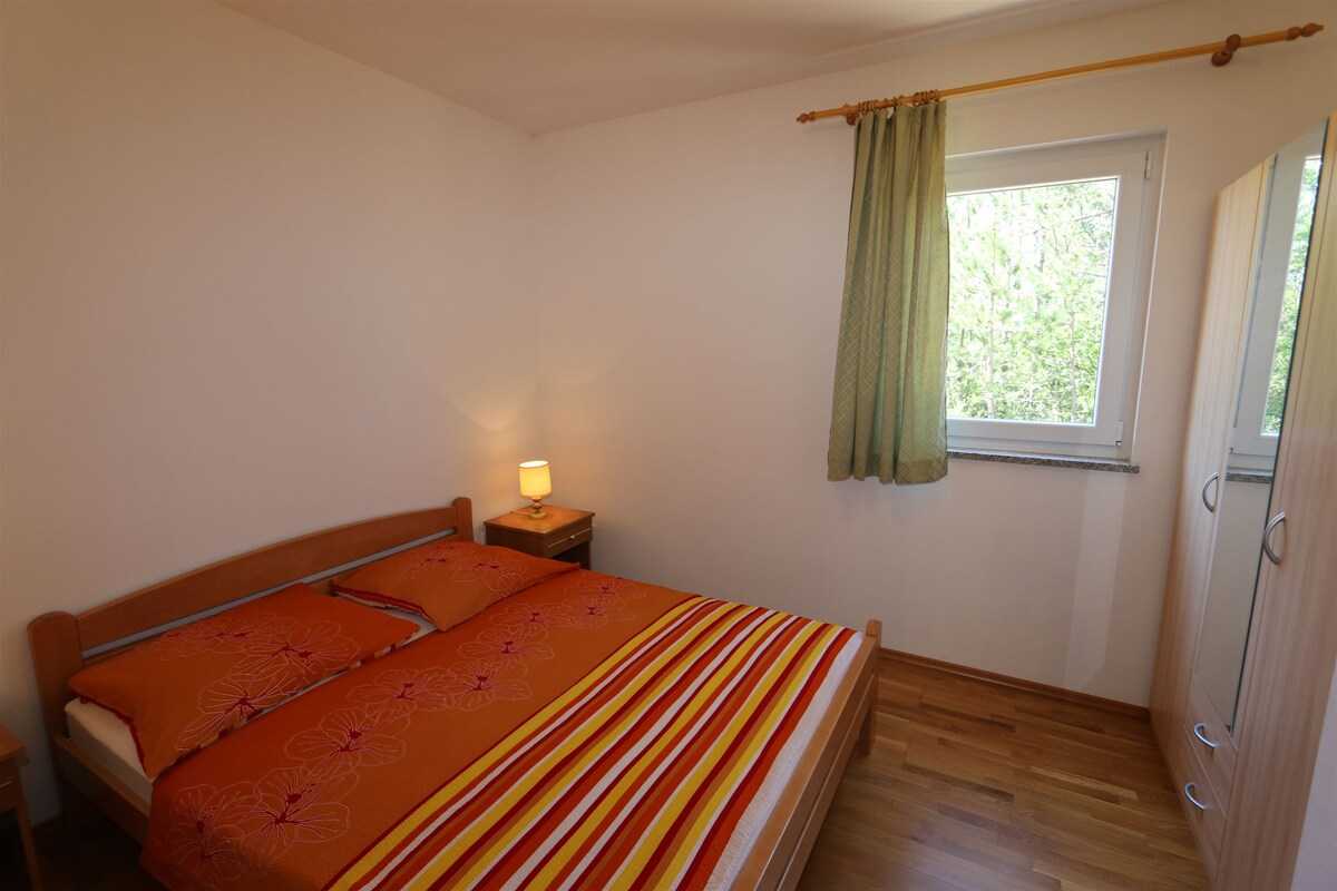 Apartment Dudovic Darko (10035-A1)