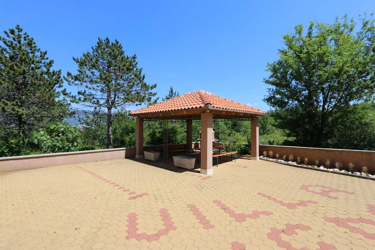 Apartment Dudovic Darko (10035-A1)