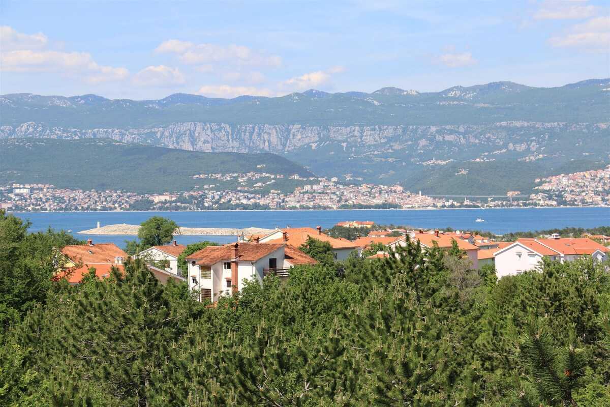 Apartment Dudovic Darko (10035-A1)