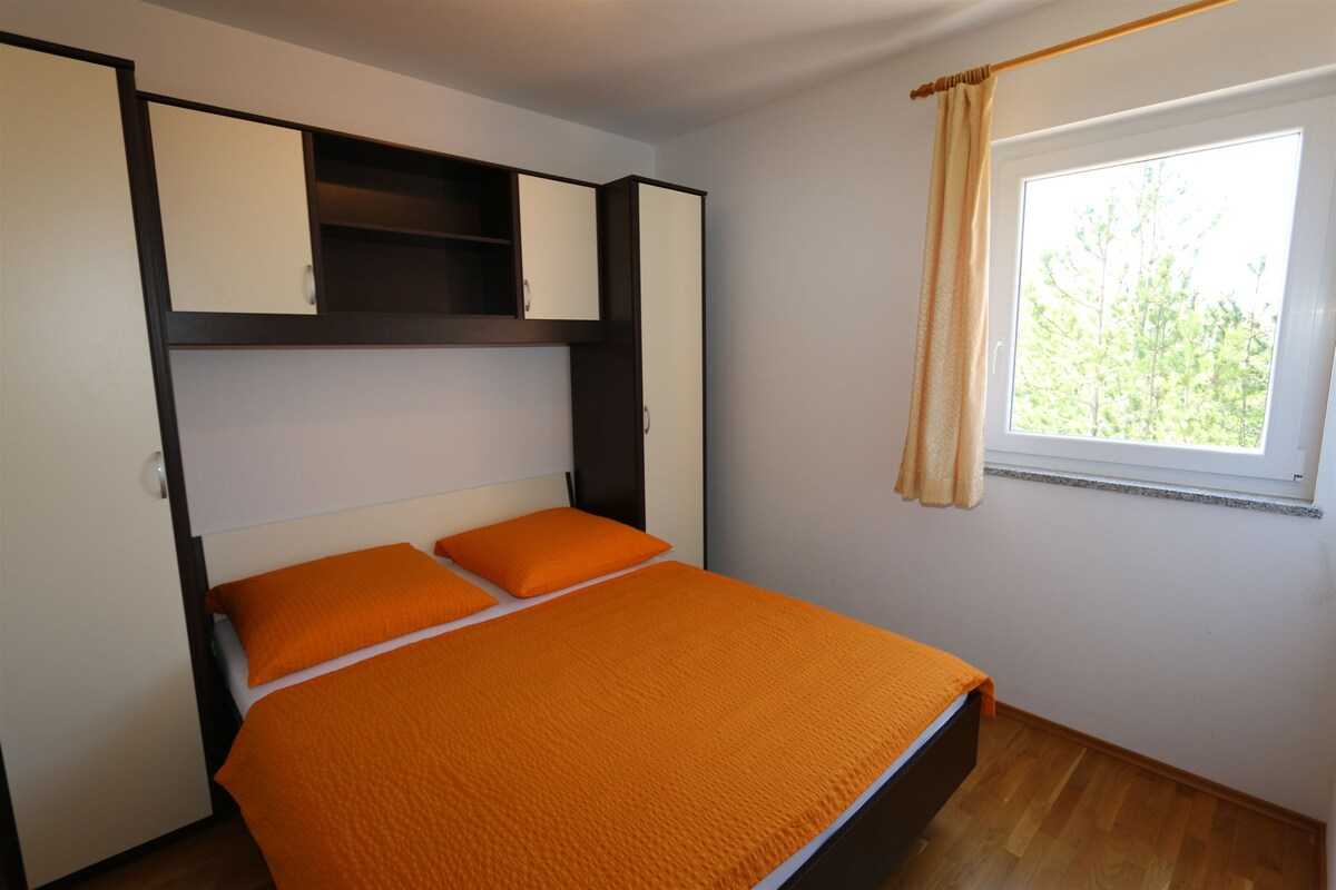 Apartment Dudovic Darko (10035-A4)