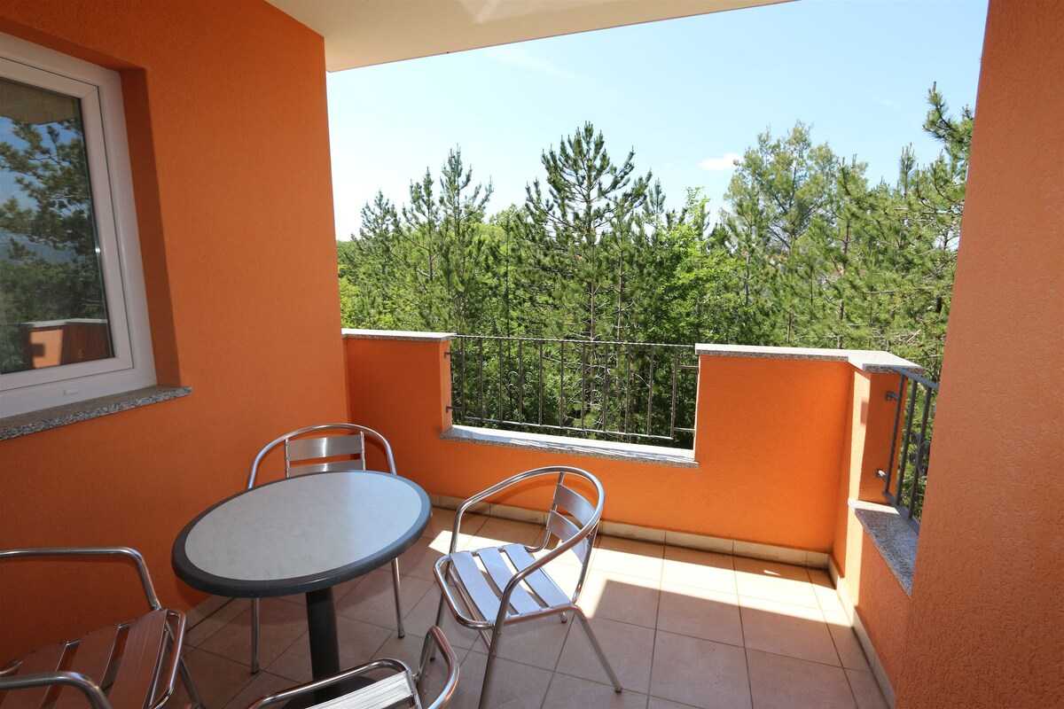 Apartment Dudovic Darko (10035-A4)