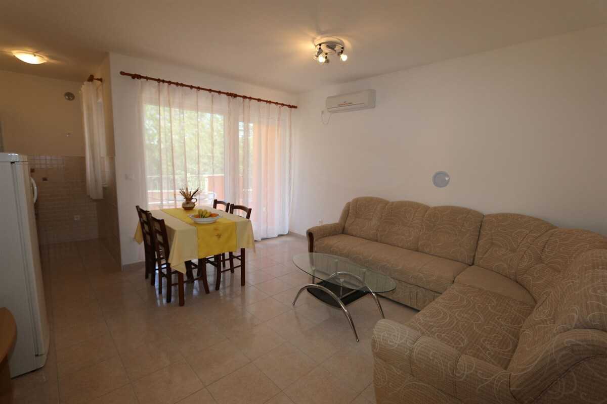 Apartment Dudovic Darko (10035-A2)