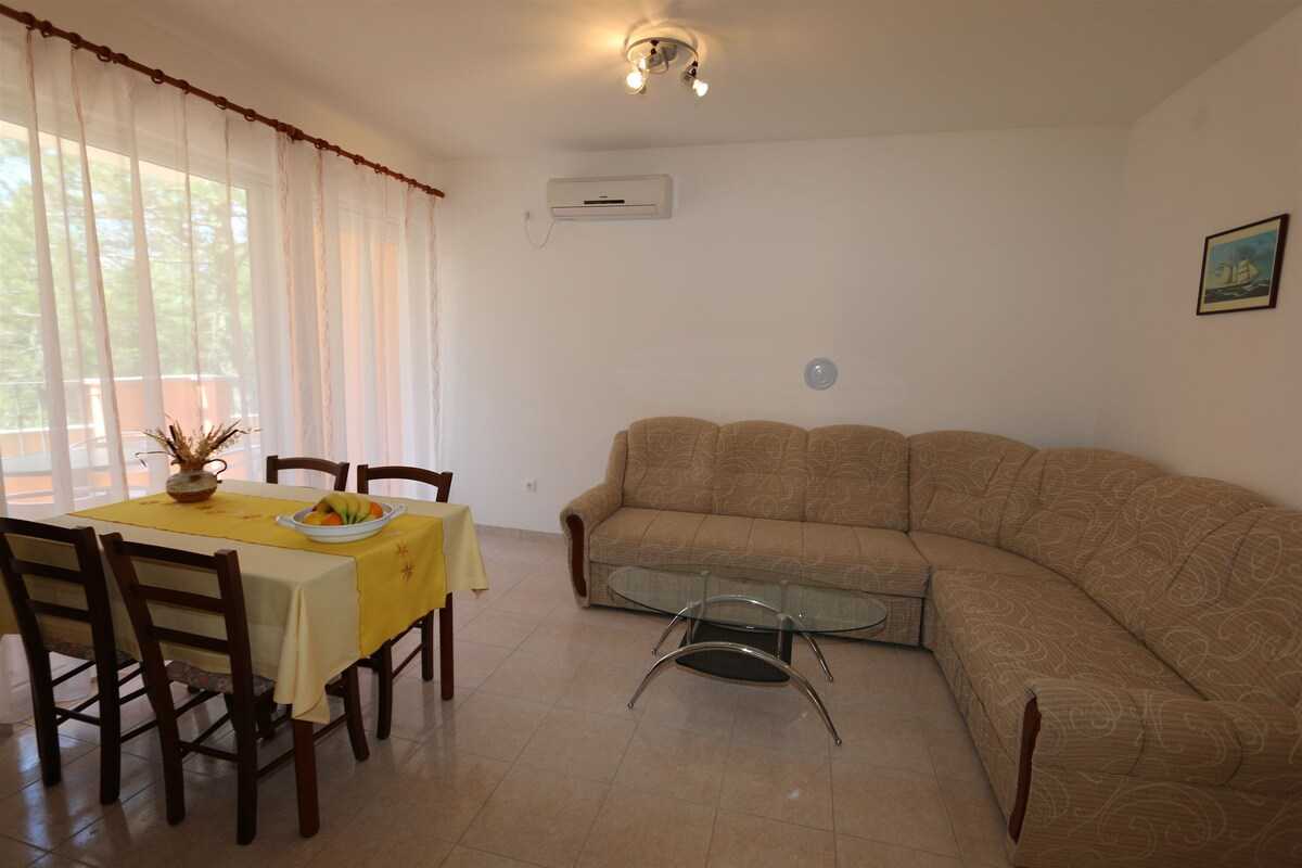 Apartment Dudovic Darko (10035-A2)