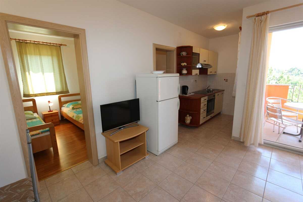 Apartment Dudovic Darko (10035-A5)