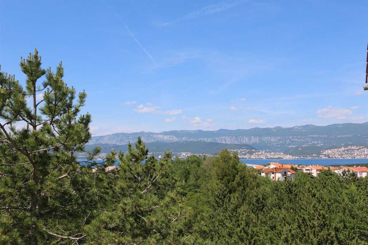Apartment Dudovic Darko (10035-A5)