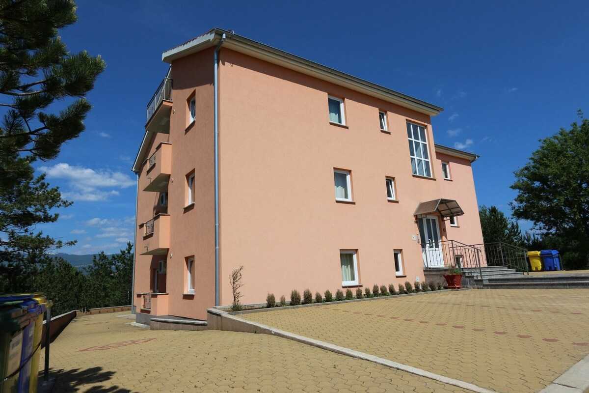 Apartment Dudović Damir (10040-A2)