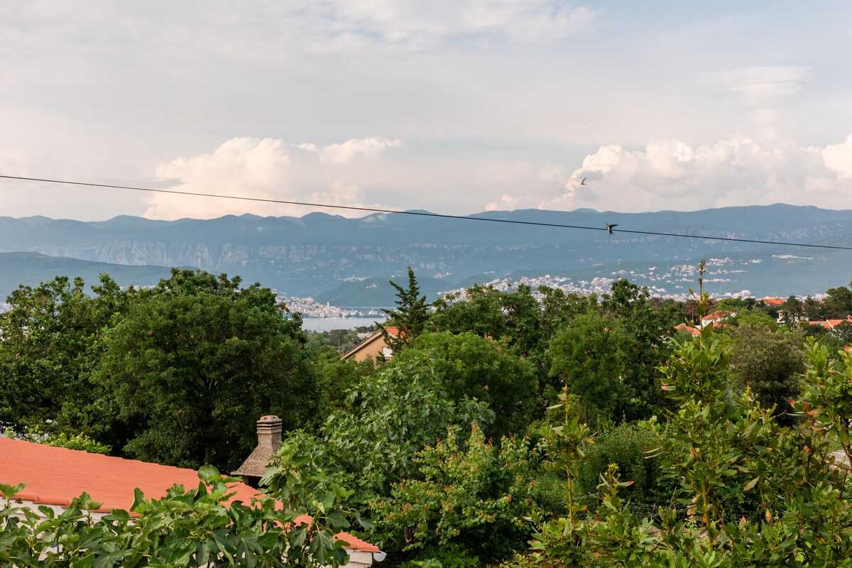 Apartment Balent (10044-A3)