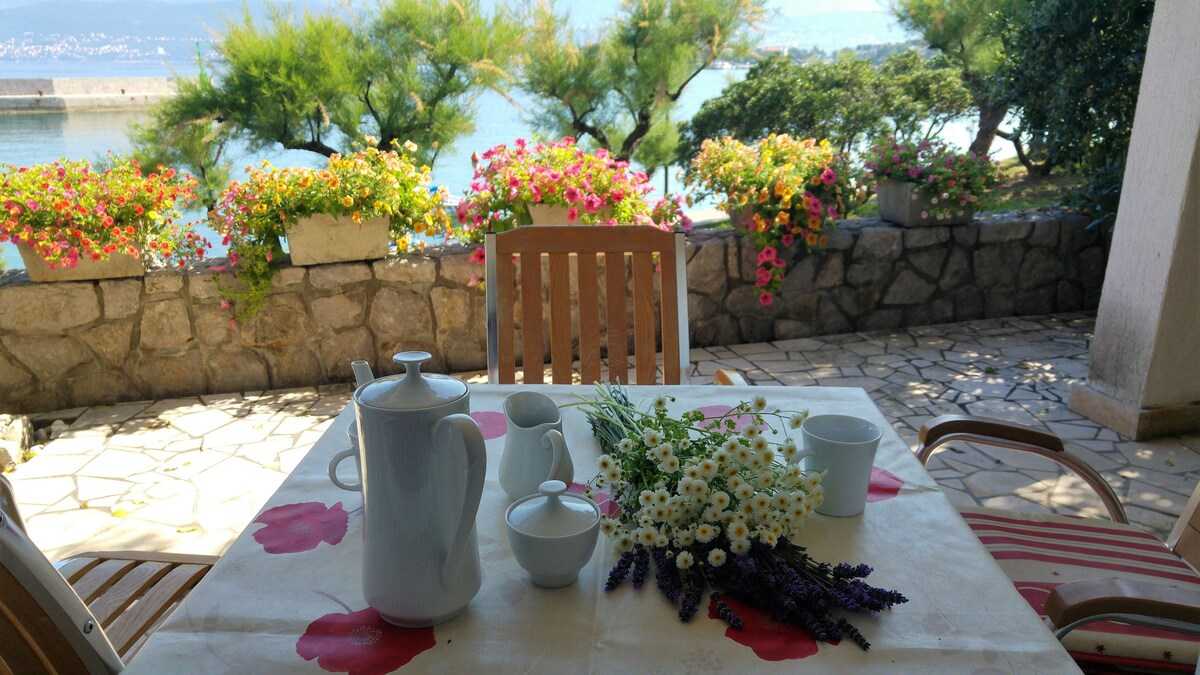 Apartment Jelenovic C. Dubravka (10076-A1)