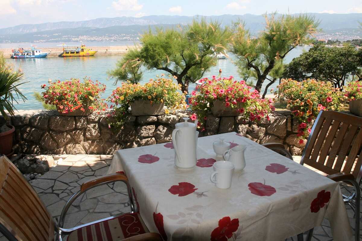 Apartment Jelenovic C. Dubravka (10076-A1)