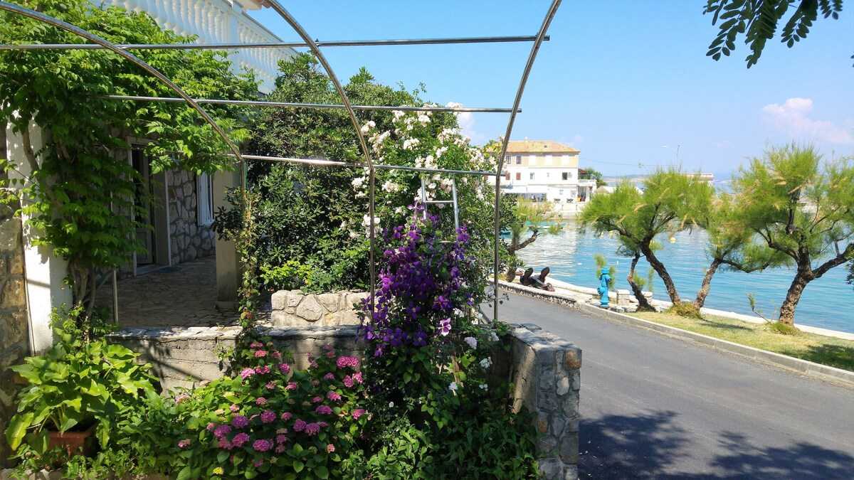 Apartment Jelenovic C. Dubravka (10076-A1)