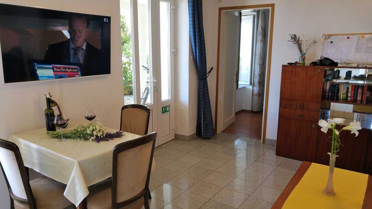 Apartment Jelenovic C. Dubravka (10076-A1)