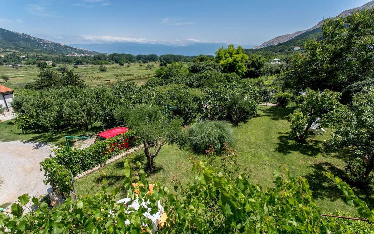 Apartman Seršić (39076-A1)