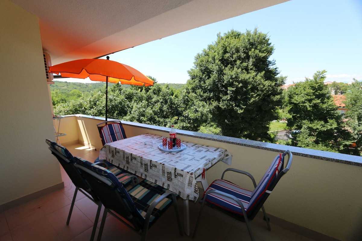 Apartment Saramandic (49858-A1)