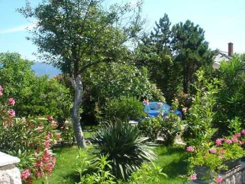 Apartment Grskovic G. Jesenovica (60242-A1)