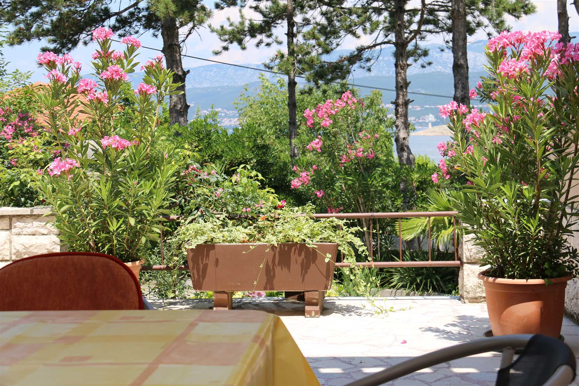 Apartment Grskovic G. Jesenovica (60242-A2)
