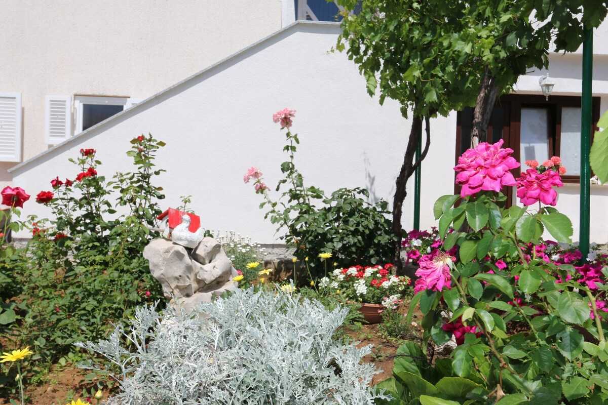 Apartment Brusic Ana (60246-A2)