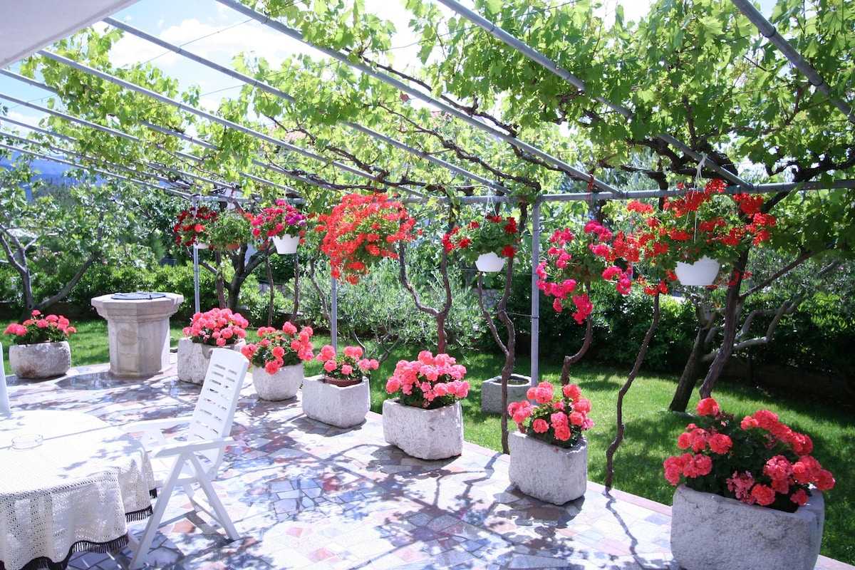 TOUR - Apartment Villa Marica - Day tour Rent-a-boat