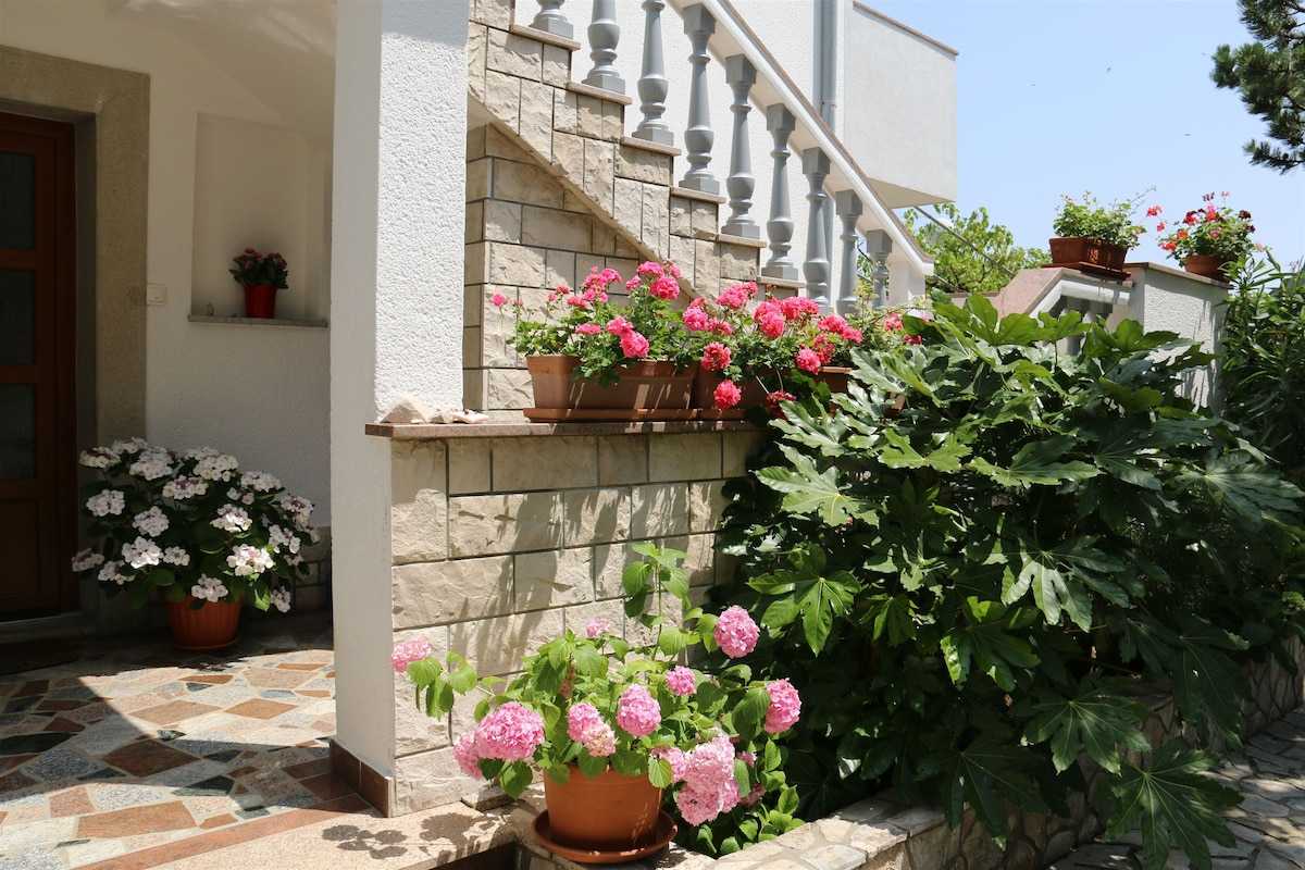 TOUR - Apartment Villa Marica - Day tour Rent-a-boat