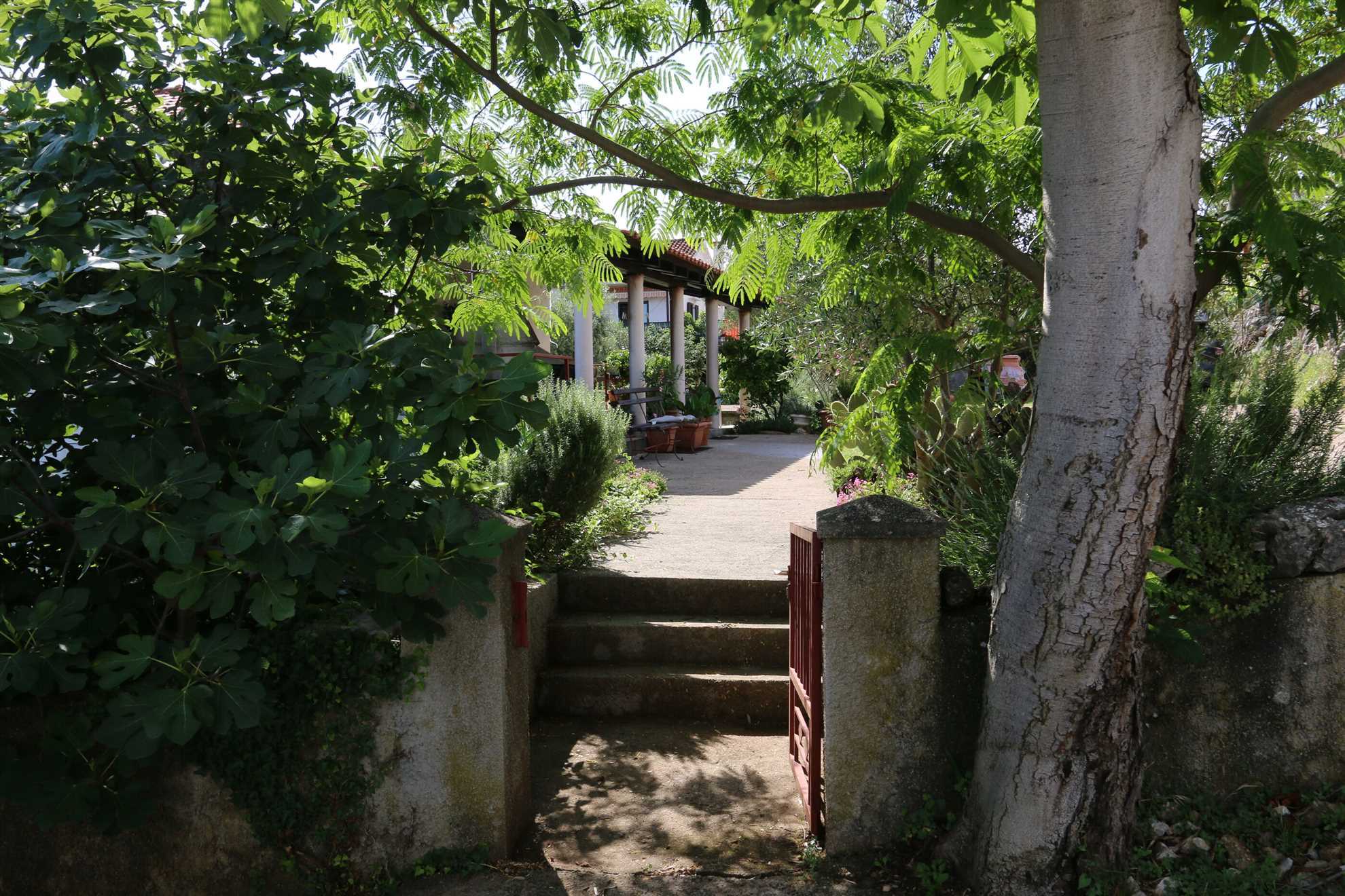 Apartments KIRINČIĆ ANTON 60264-A1