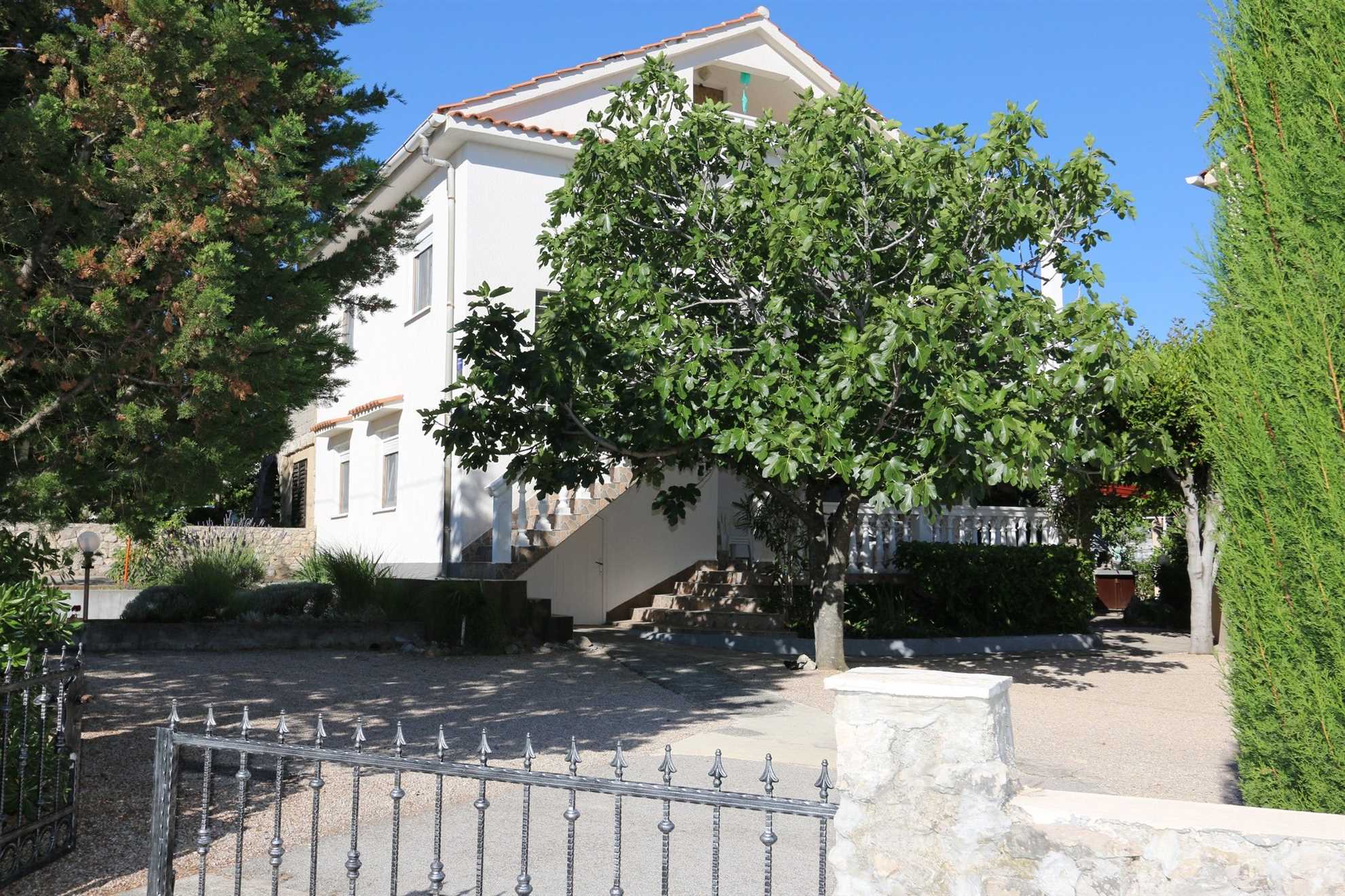 Apartments Nadenic 10065-A2