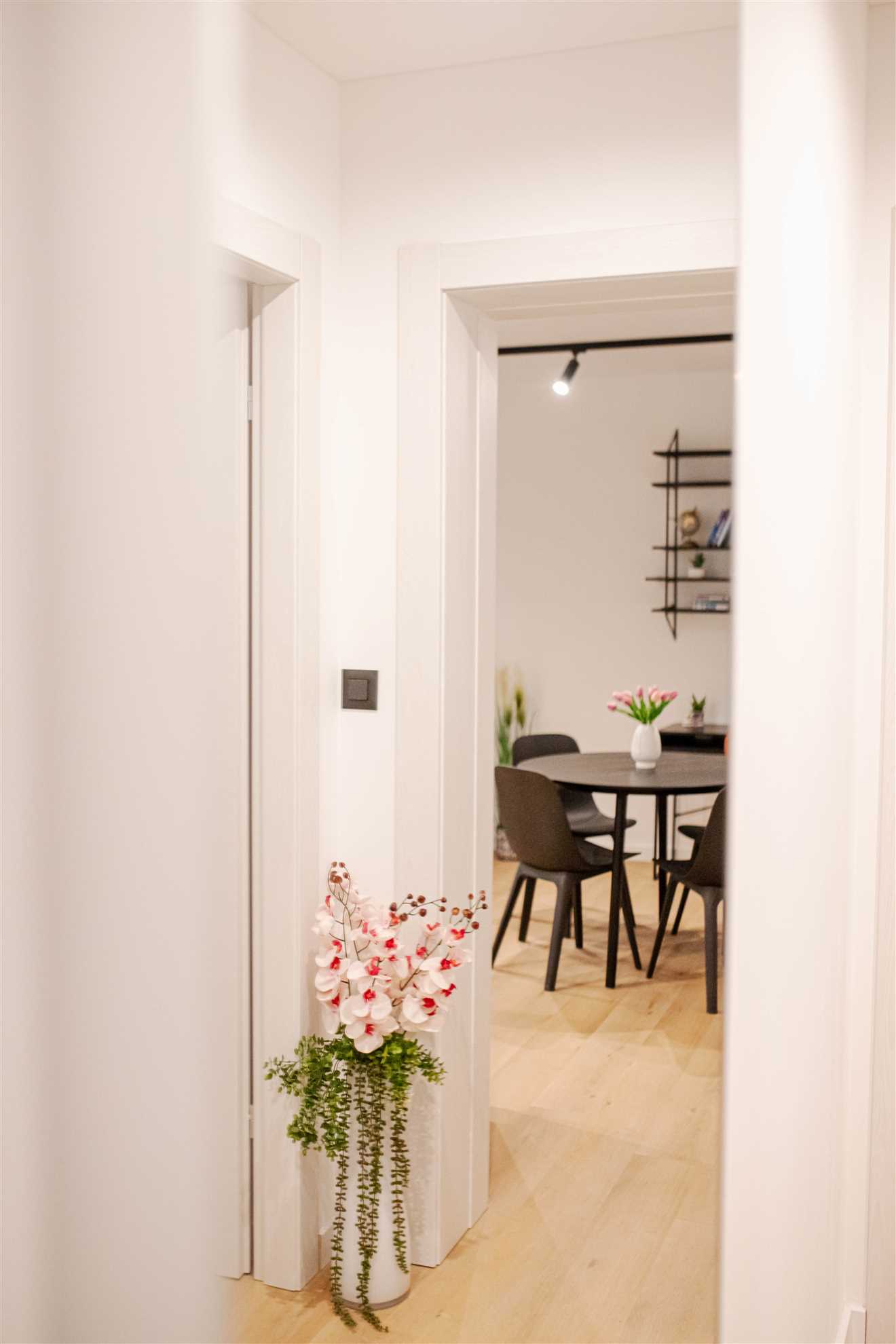 Apartment Mediterranean Bliss