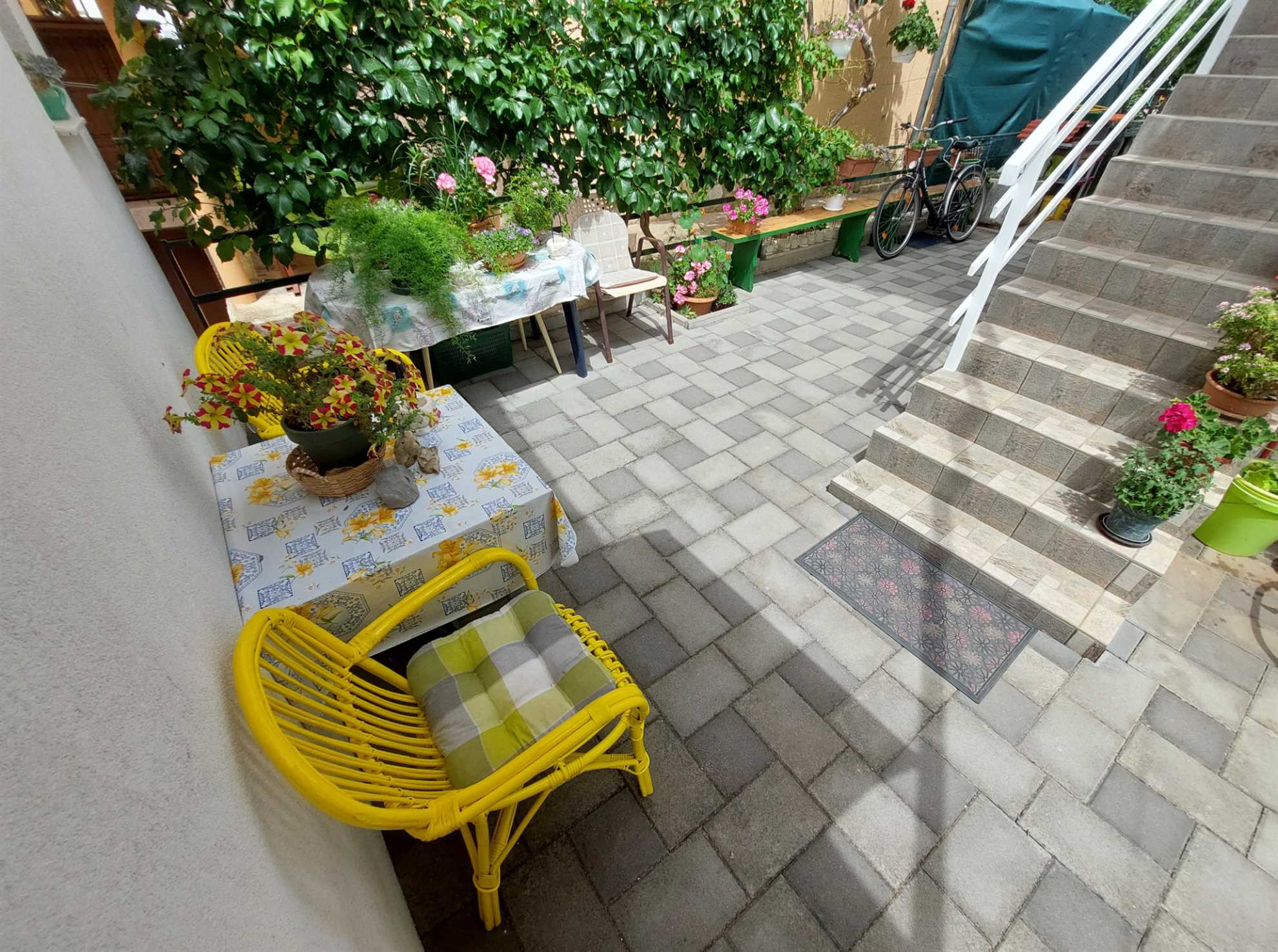 Apartment Garden house studio