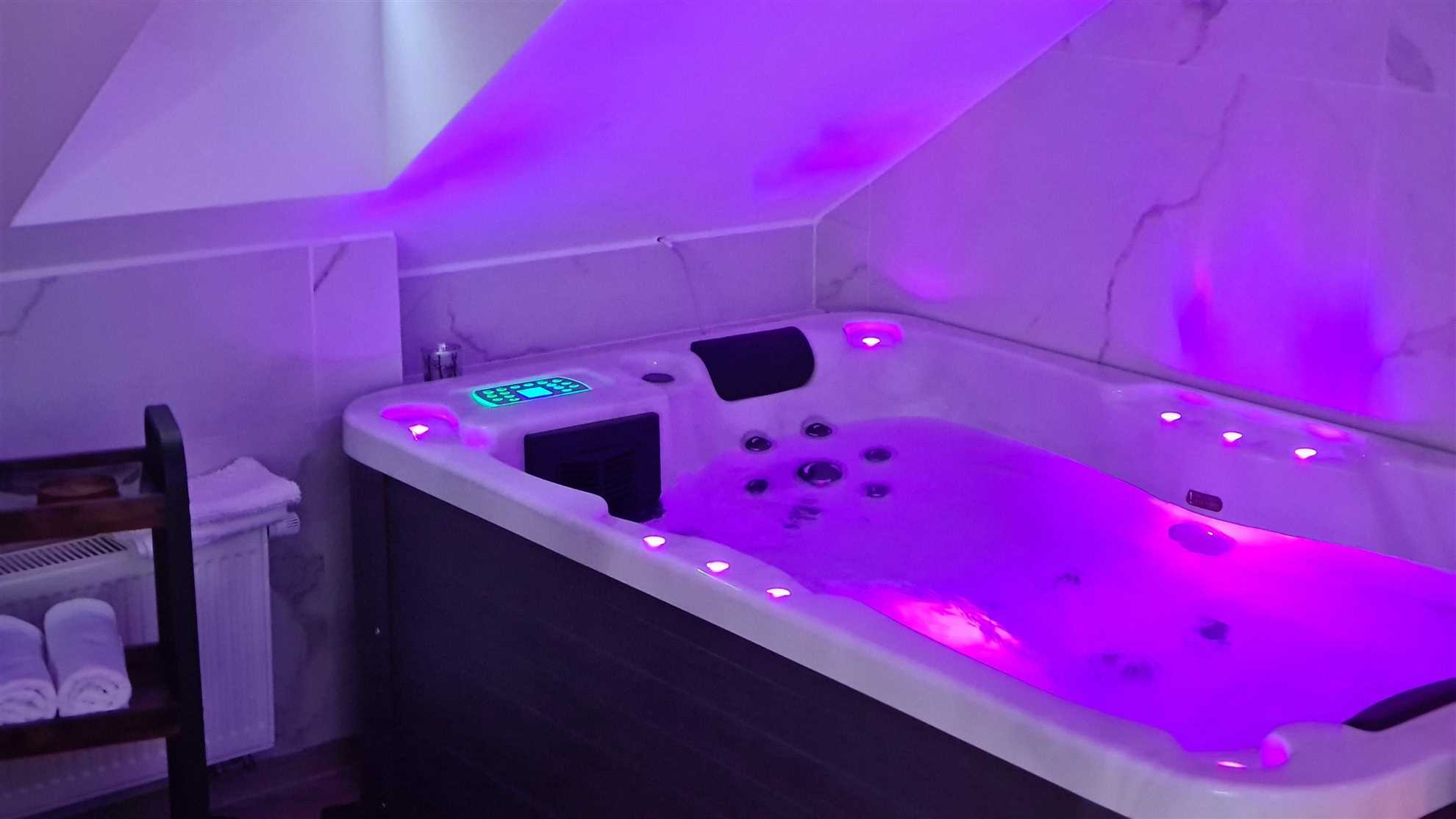 Ginko SPA 1