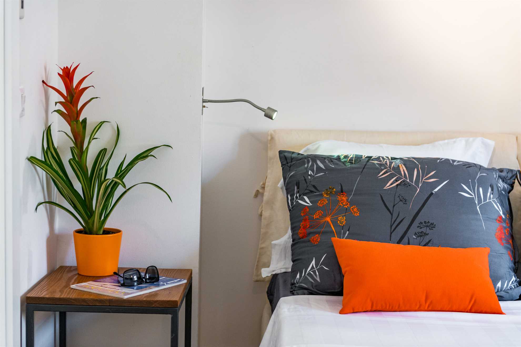 Apartment Time | OldTown