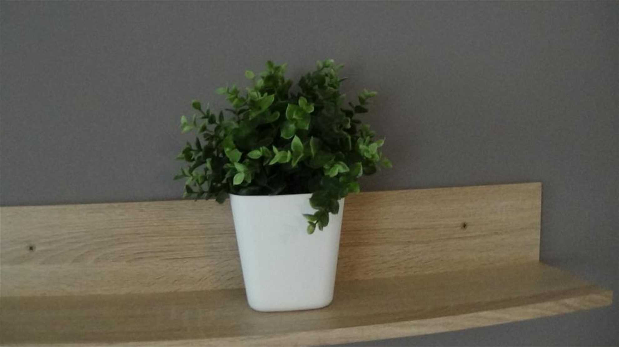 Apartments "Sun Mauro"-Vitis 7 Für sechs Personen