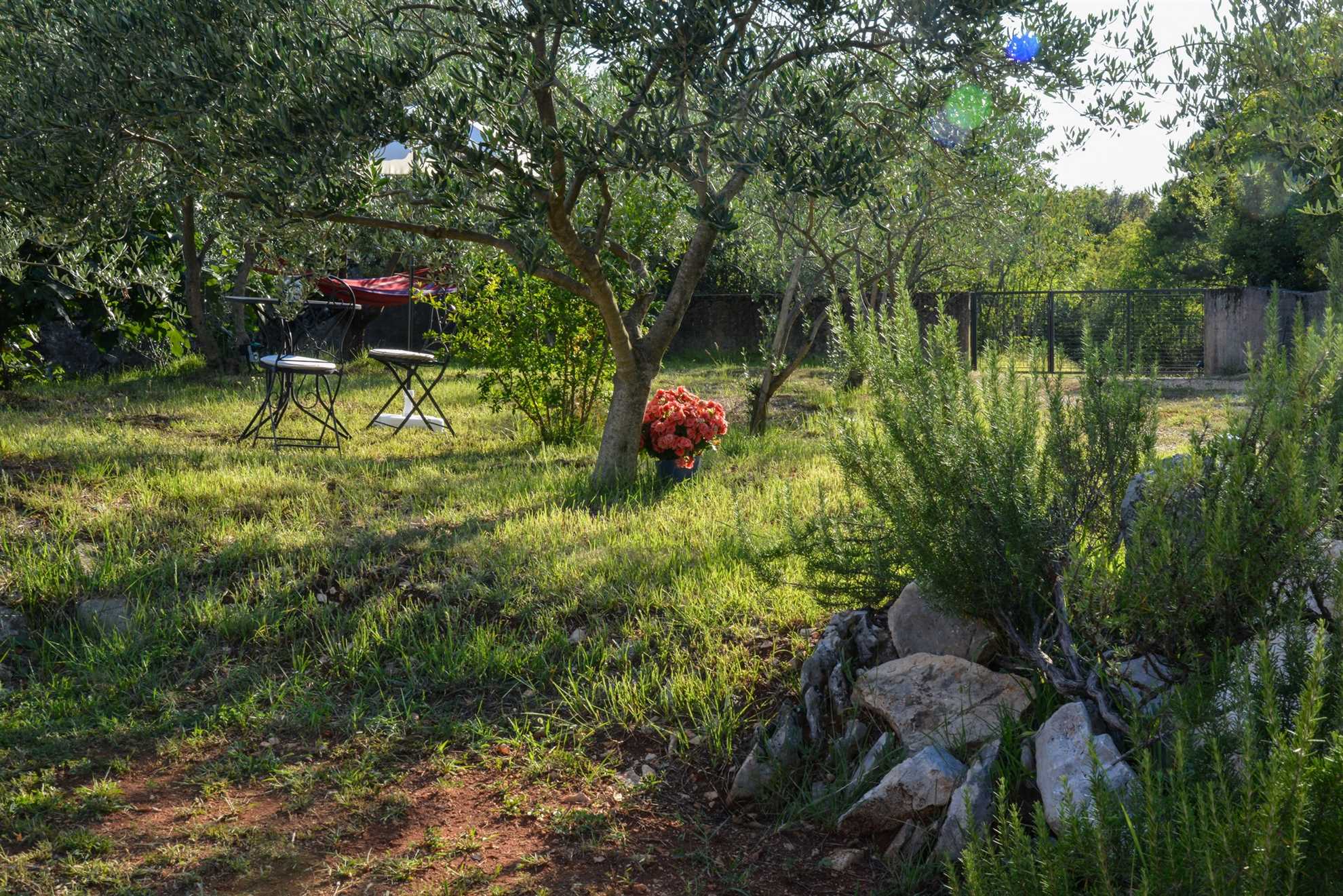 Apartma Villa Oliva z zasebnim bazenom
