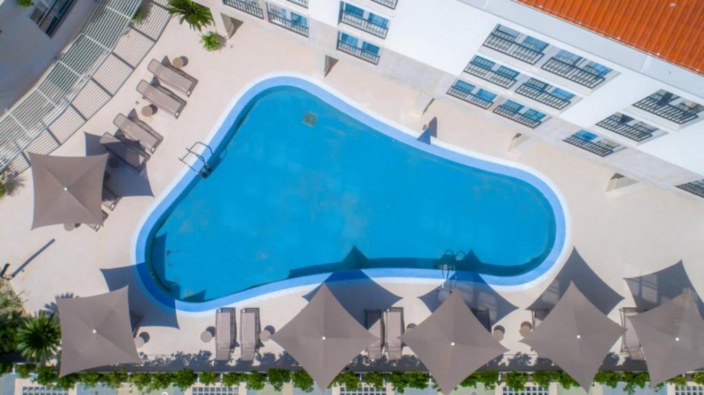 Garden Palace - One Bedroom Apartment Da Matteo