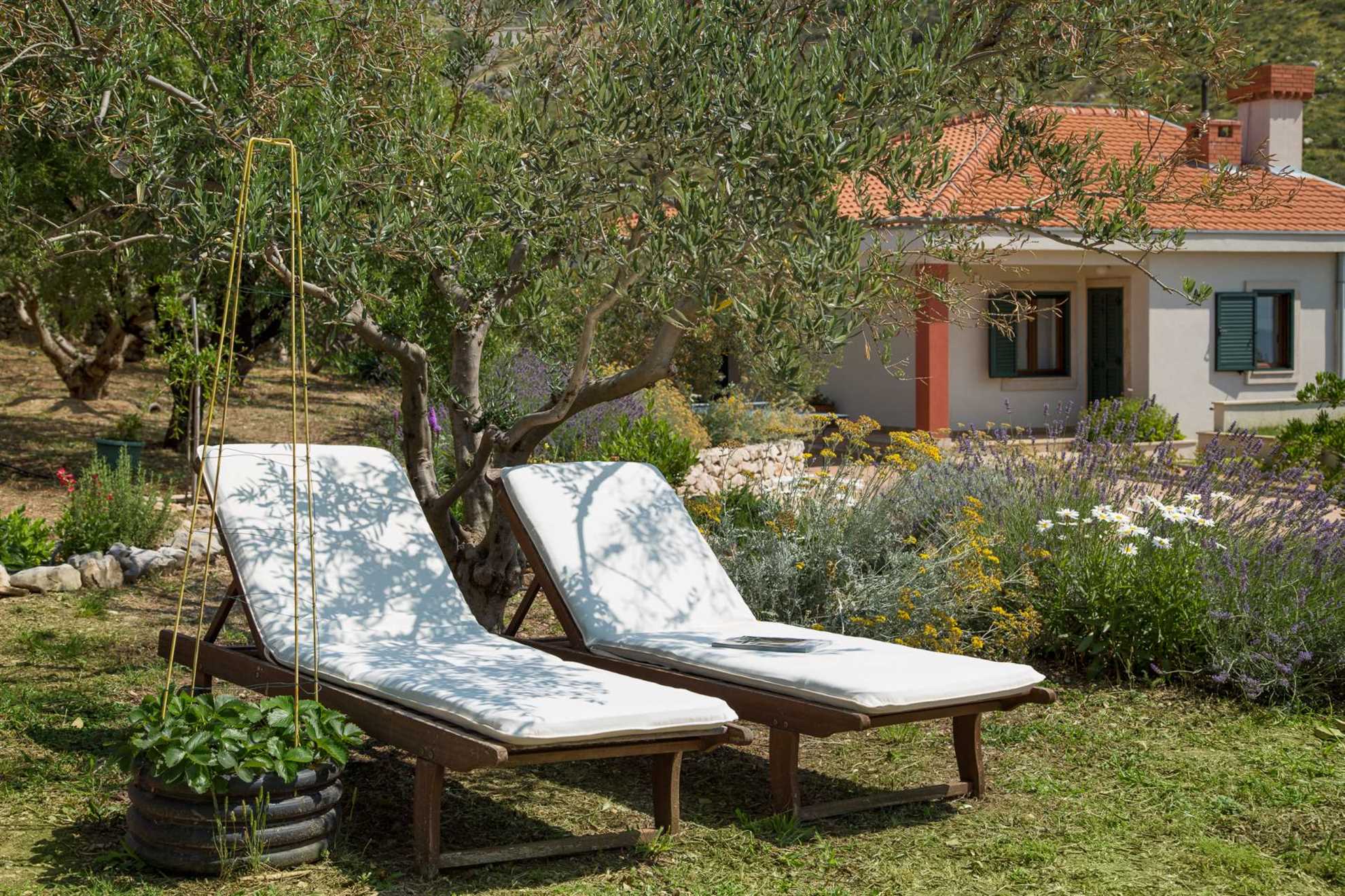 Finca Olive Grove - four bedrooms, heated pool, stunning views on 16000m2